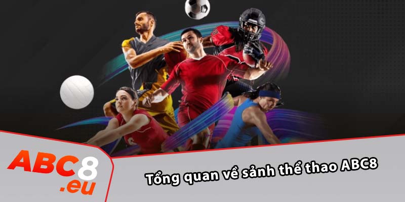 Tổng quan về sảnh thể thao ABC8